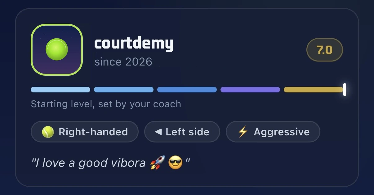 A player's card in courtdemy — level 7.0, Pro, the five-band ladder filled to the top, play style and a one-line bio.